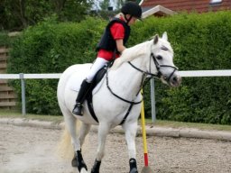 180284_10150929579458585_319744324_n_web